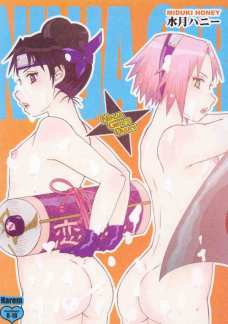 Ninja Girl”s Diary