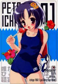 PETAICHI 01