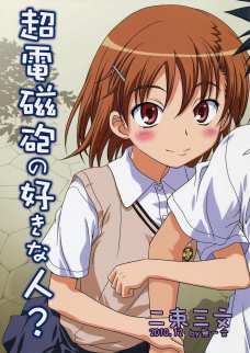 超電磁砲の好きな人?