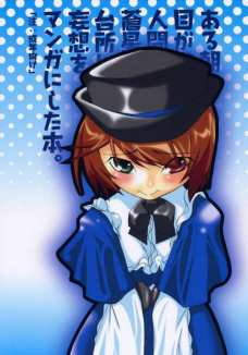 ある朝目が覚めると人間になった蒼星石が台所に立っていたという妄想をマンガにした本
