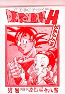 DRAGONBALL H 改訂版