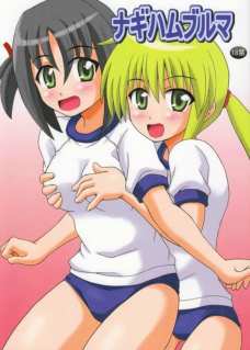 ナギハムブルマ