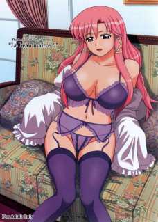 Le beau maitre 3