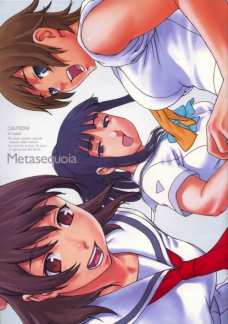 Metasequoia