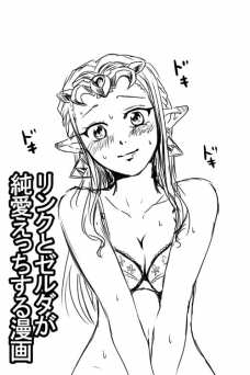 ﾘﾝｸとｾﾞﾙﾀﾞが純愛えっちする漫画