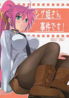 ストッキングを脱がさずにSEXするシグナムさんがエロいんです！