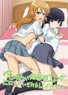せなちーと桐乃がエロゲ開発中にセックスの解説してるｗ