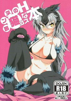 邪ンヌの猫コスHな本